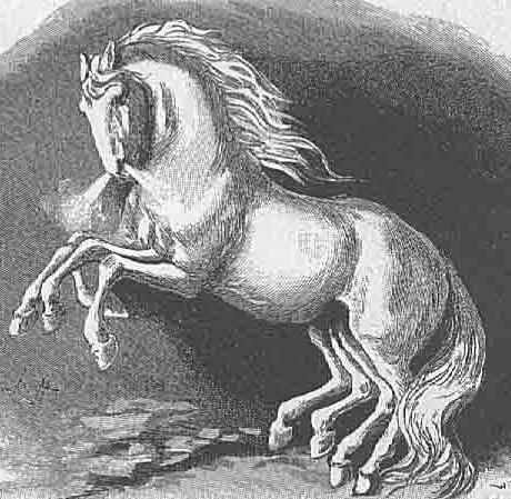 sleipnir odin's 8 legged horse