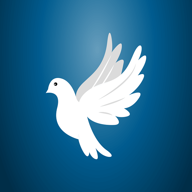 Symbols of Hope Dove